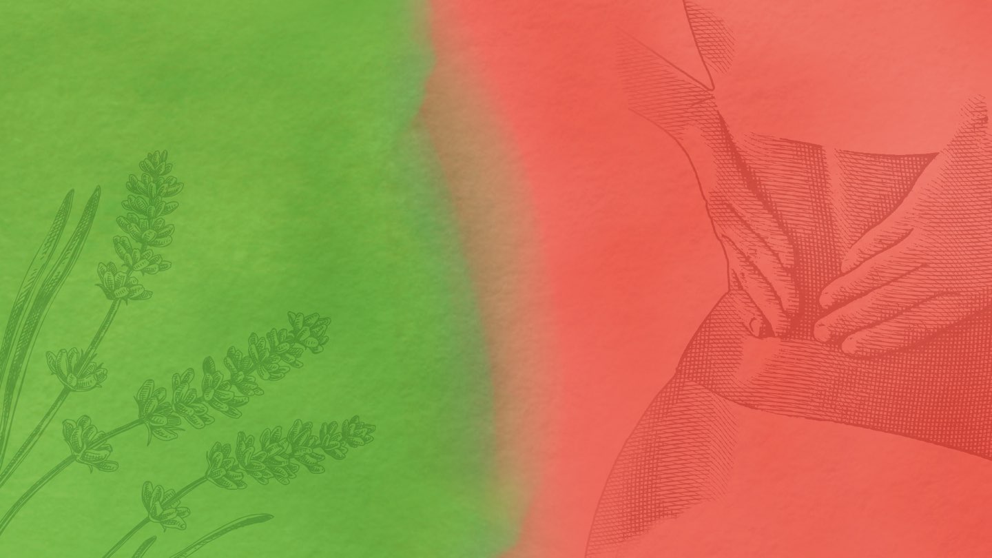 Privatpraxis Orthopädie Dr. Langguth Erfurt